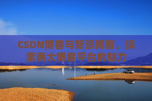 CSDN博客与新浪博客，探索两大博客平台的魅力